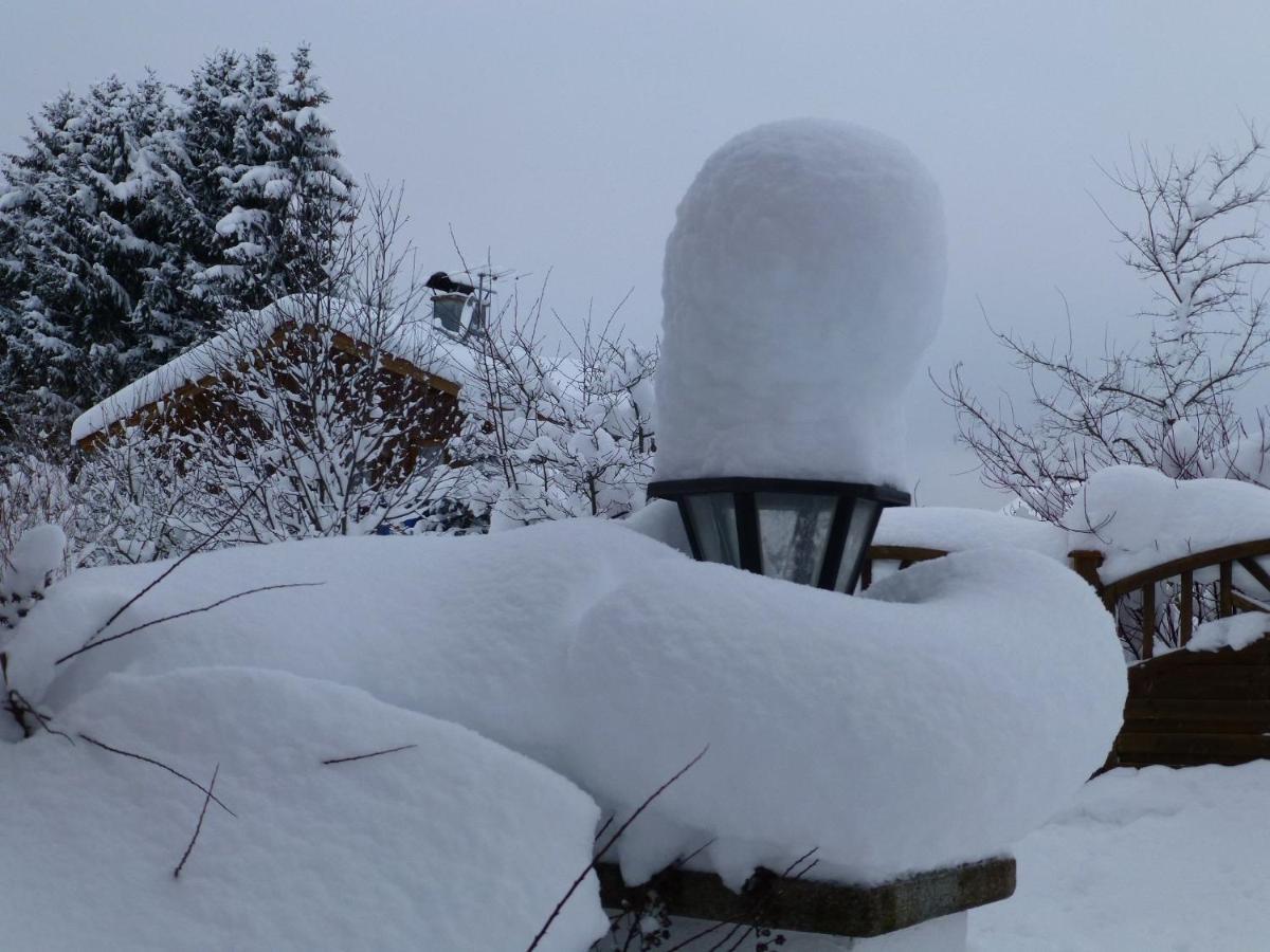 Blissful Apartment In Altenau With Patio 部屋 写真